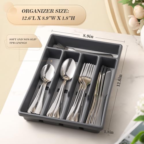 20-Piece Silverware Set with Organizer,Heavy Duty Stainless Steel Flatware Cutlery Tableware Set for 4,Includes 5-Compartment Silverware Tray with Cutlery Icons,First Apartment Kitchen Essentials