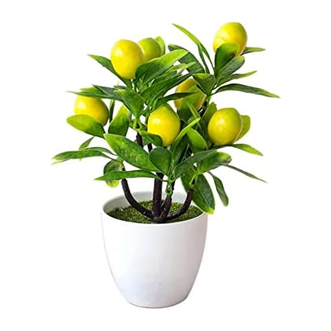 Alpertie Artificial Fruit Potted Plant, Lemon Tree Plants Fake Bonsai Faux Mini Plastic Fruits Plants Green Pot Plants Flowers Ornaments for Home Table Desk(8.7 Inch) Cover