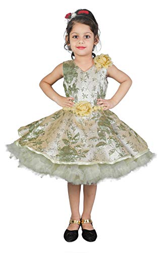 Girls Banarasi Jacquard Frock Dress 