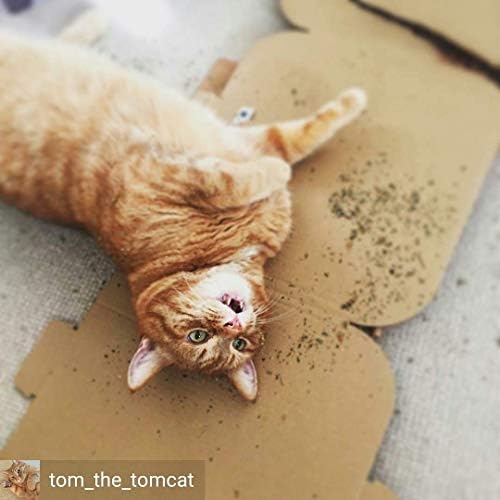 Cat FurNature. co .uk Extra Strong Catnip Tub