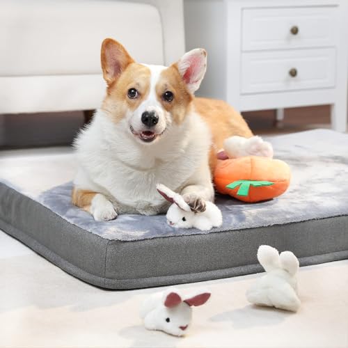Amazon Basics Quietschendes Hundespielzeug aus Plüsch zum Verstecken Spielen, Hase und Karotte, 5er-Pack, Orange und Weiß