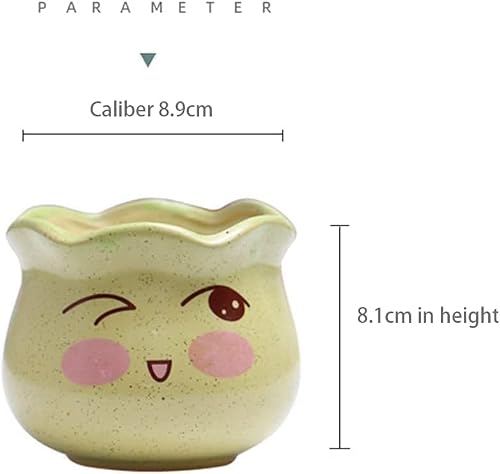 Xialiuxia Home Garden Ornaments Flower Pots Ceramic Flower Pots For Succulent Plants, Ceramic Flower Pot With Cute Emoji Decor Succulent Pot Lovely Decor For Home Shelf Office Garden Living Room #TOP2