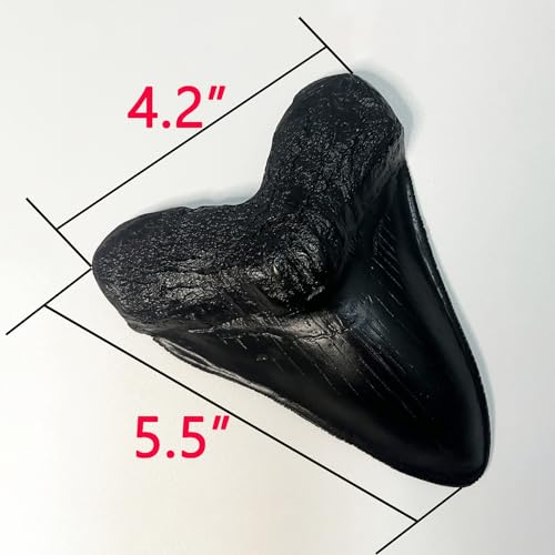 Image of Carcharodon Megalodon Tooth Replica with Serration-Shark Teeth Fossil Collection,5.1 inches (Black)