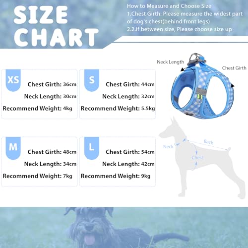 Savlot Reflektierendes Hundegeschirr für kleine & mittelgroße Hunde, Sicherheitsgeschirr mit Step-in Design für Nachtspaziergänge, Y-Form & Haarschonend (XS-L, Blau)