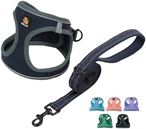 BELLA & PAL Dog Harness with Leash Set, Step in Vest Harness for Small and Medium Dogs, No Pull Harness for Puppy Dogs Medium Dogs, Air Mesh Dog Vest Harness, Purple, XS