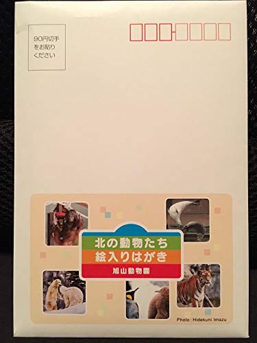 北の動物たち 絵入りはがき 旭山動物園 撮影:今津秀邦 5枚入り ハガキのサムネイル