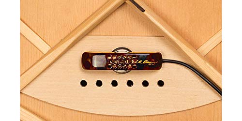 Amazon | L.R.Baggs エルアールバックス アコースティックギター用
