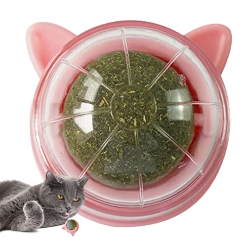Bola de parede Catnip Catnip | Bolas de Catnip de parede de brinquedo de dentição de gato comestívei