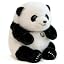 Sitting Panda