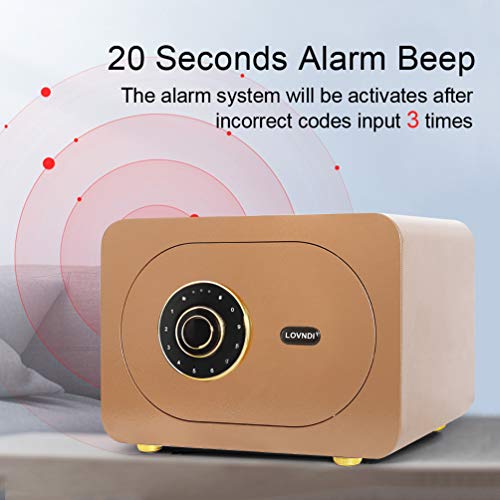 Lovndi Security Safe Box 1.0 Cubic Feet, Digital Safe Electronic Home Safe with Keypad, 15.7 x 11.8 x 10.6 inches, Gold