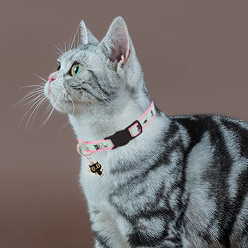 Image of 2 Pack Glow in The Dark Cat Collar with Bell Breakaway Safety Cat Puppy Collars with Pendant Blue and Pink