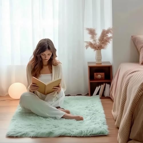 3 x 5 ft Fluffy Mint Green Rug – Plush