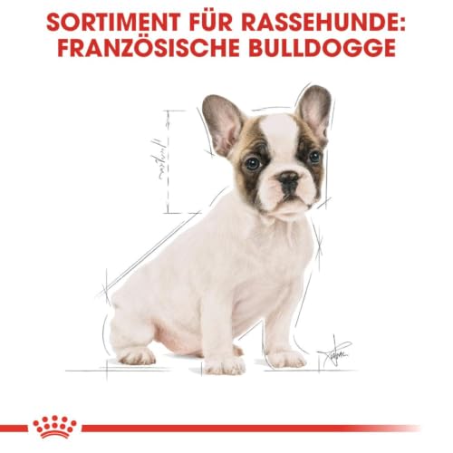 Royal Canin - RC Bulldog Francese Puppy