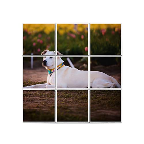 Carreaux céramique Labrador sable finition haut de gamme 45cm