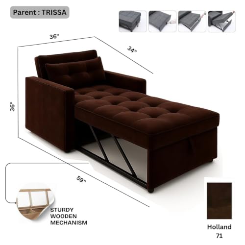 Image of FURNY Tressa 1 Seater Fabric Pull-Out Sofa Cum Bed (Dark Brown) - Premium Velvet Finish - Durable Comfort - Ideal for Living Room, Bedroom
