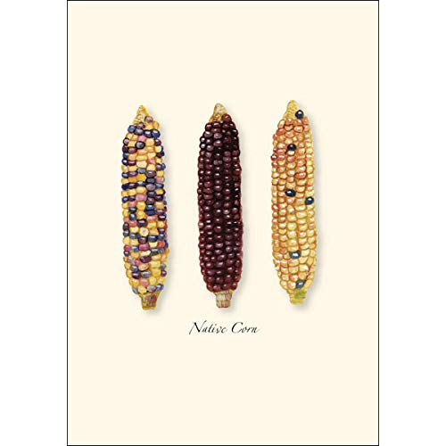 Image of Earth Sky + Water - Native Corn Notecard Set - 8 Blank Cards with Envelopes