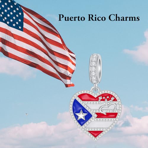 Puerto Rico Charms for Bracelet 925 Sterling Silver Coqui Frog Flag Jewelry Hometown Puerto Rico Gifts for Women2
