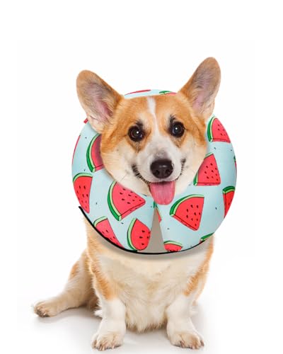Image of MIDOG Inflatable Dog Cone Alternative for After Surgery - Soft Protective Donut Collar Prevents Licking, Comfortable Recovery E-Collar Alternative for Small Medium Large Dogs (Watermelon,S)