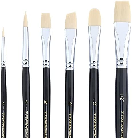 Transon Assorted Paint Brush Set of 6