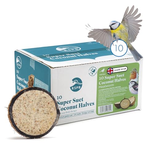 Coconut Bird Feeder Halves, Wild Bird Food for Small Birds with Suet, Dried Mealworms, Seeds, and Cereals, High Energy Food, Filled in the UK, Suitable for Year-Round Feeding - RSPB x 10 (320g)