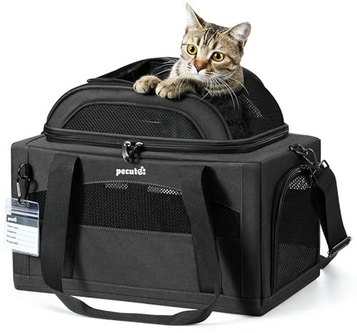 Pecute Expandable Pet Carrier Airline Approved Dog Cat Carrier, Breathable Soft-Sided with Locking Zippers, Pet Travel Bag for Small Dog Cat Anti-Scratch Mesh Leakproof Pee Pad (Dark Gray)