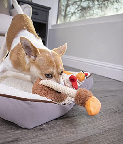 Image of goDog Checkers Skinny Rooster Squeaky Plush Dog Toy, Chew Guard Technology - Brown, Small