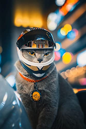 Haustier-Motorradhelm, Vollgesichts-Motorradhelm, Outdoor, Motorrad, Fahrrad, Reithelm, Hut für Katze, Hund, Hunde, Welpen, Kätzchen, Helm, Haustierbedarf, Sammlerstück, kleines Geschenk (Mehrfarbig)