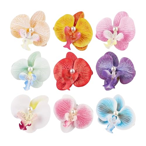 t[Nb` - 9 t[wANbv | ~ xp X^CO ANZT[ GKg Ԃ ob^ r[`  wZ x s EFfBO f[g uC_p