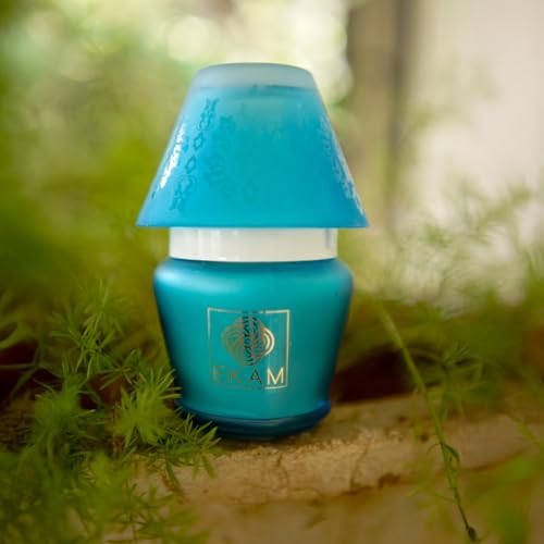 Image of EKAM Scented Frost Glass Lampshade Candle | Ocean Dream Scented Candle | Luxury Fragrances| Ideal for Home Decor, Aromatherapy & Gifting | 22 Hours Burn time |114 g