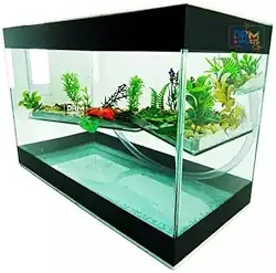 Aquário Terrario Decorado N3 30x14x19 Para Tartarugas Peixes