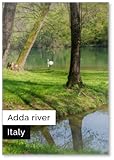 Photomagnet
