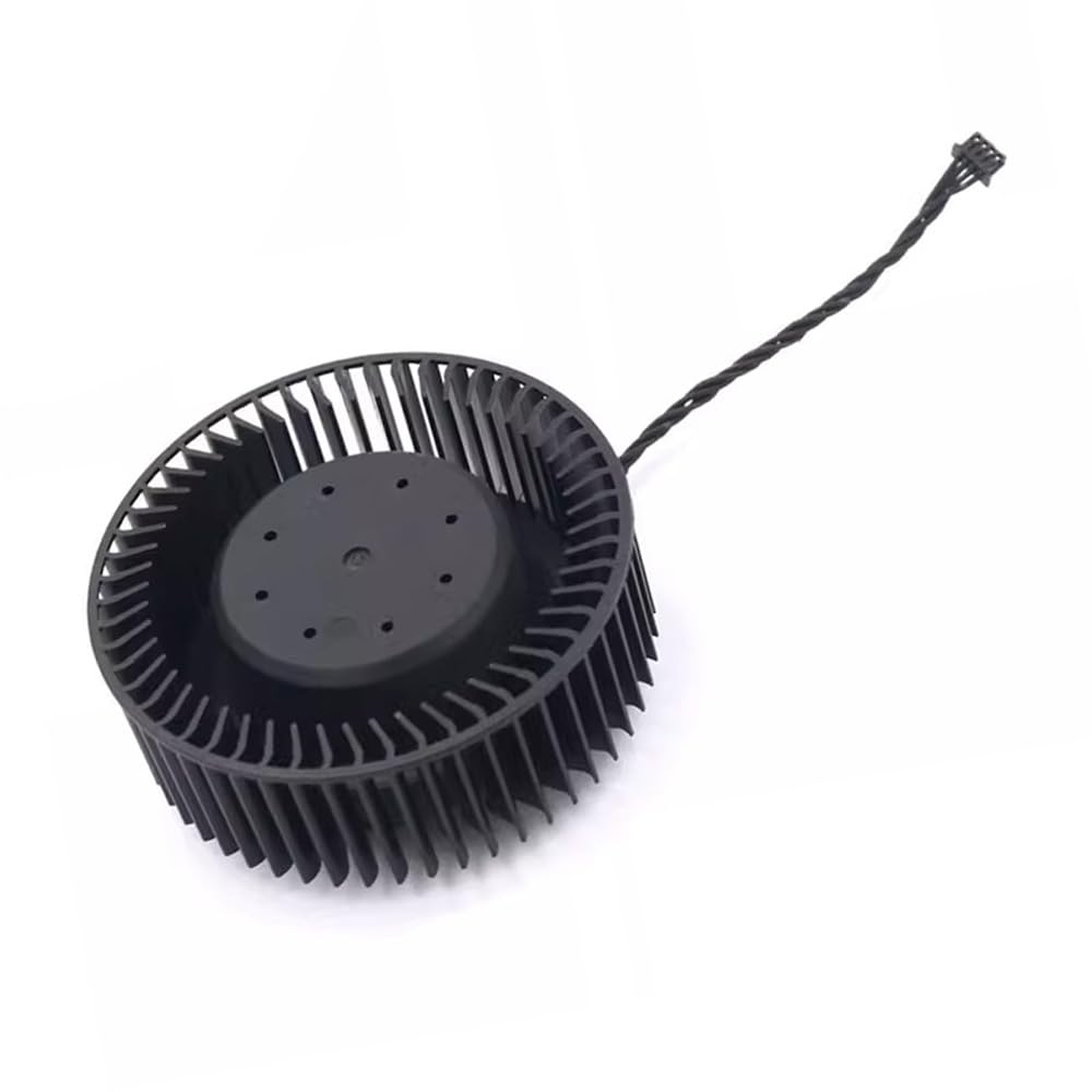 Amazon.com: RAKSTORE PLB06625B12HH FD6525H12D Graphics Card