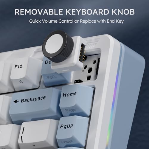 Image of iLovBee B75 Wireless Mechanical Keyboard, Creamy 75% Percent RGB Gaming Keyboard with Knob, Bluetooth /2.4GHz /USB Wired Hot Swappable Keyboards, Gasket Mounted PBT Keycaps, Pre-Lubed Linear Switches