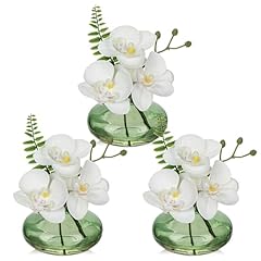 White/Light Green Vase