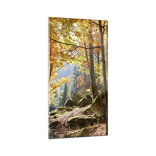 Vidrios decorativos Otoño montaña bosque naturaleza Cuadro Sobre Vidrio Moderno 55x100cm Decoracion Salon Cocina Cuadros Pared Impresiones Grande Impresión en Cristal Wall Art Prints GPA55x100-2713