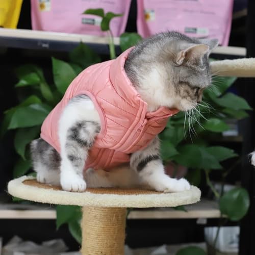 Manteau imperméable bleu clair M pour chiot et bouledogue