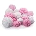 Active Arts 16 pcs Mixed 8" 10" 14" White/Pink Tissue POM POMS and LANTERNS Bundle Wedding Party Baby Girl Nursery Room Decoration