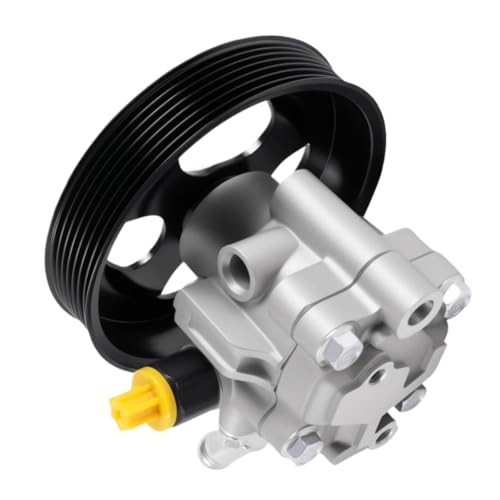 Pompe direction assistée 49110-ZV00A poulie compatible Pathfinder Titan 21-494