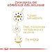 Royal Canin Chihuahua Adult | 1,5 kg | Trockenfutter für ausgewachsene Chihuahuas | Zur Unterstützung der Stuhlqualität und der Zahngesundheit | Hohe Akzeptanz bei Hunden