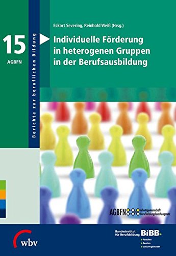 Preisvergleich Produktbild Individuelle Förderung in heterogenen Gruppen in der Berufsausbildung: Befunde - Konzepte - Forschungsbedarf (Berichte zur beruflichen Bildung)