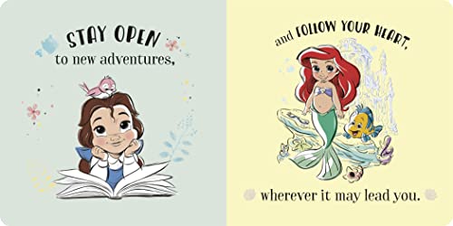 Dear Little Princess: My Dreams for You (Disney Princess)