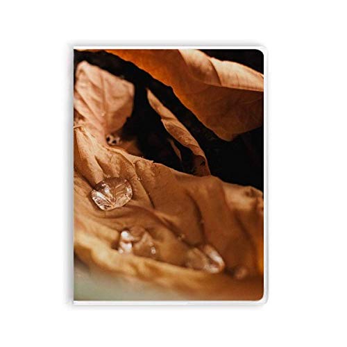 Carnet de photographie Fallen Leaves avec sa couverture souple illustrée