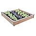 Price comparison product image Spear & Jackson Raised Bed 1800 x 1200 x 300, Brown, 180 x 120 x 30 cm