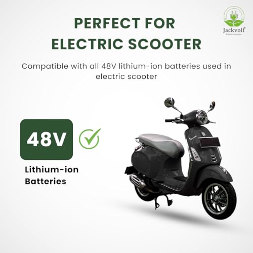 Image of JACKVOLT 54.6V 6A Lithium Battery Charger for 48V Electric Bike, E-Bike & Electric Scooter | Fast Charging Lithium Ion Charger with Auto Cut-Off & LED Indicator | Smart EV Battery Charger