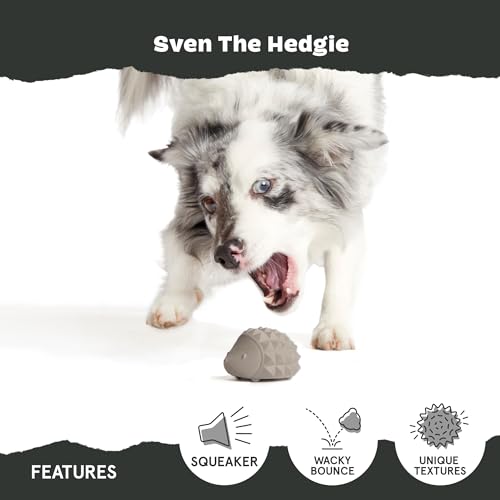 Image of BarkBox Sven The Hedgie Super Chewer Dog Toy - Large | Natural Rubber, Wacky Bounce & Rippled Texture | Durable Dog Toy for Aggressive Chewers, Medium to Dogs