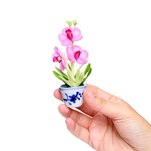 Imanes decorativos 3D flores orquídeas Vanda set 2 miniatura 4
