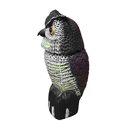 Aigle pour jardin extérieur et décoration Halloween grand épouvantail anti oiseau rotatif