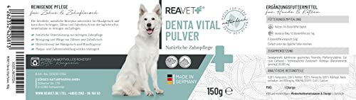 ReaVET Denta Vital Zahnpflege Pulver Hund & Katzen 150g - Zahnsteinentferner, Mittel gegen Zahnstein Hund Katze I Gegen Mundgeruch bei Hunden, Zahnpflege Katzen