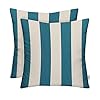 RSH DECOR Sunbrella Square Throw Pillows Set of 2 24 x 24 Water and Fade Resistant Performance Fabric Outdoor Pillow Covers with Down Alternative Inserts Cabana Regatta