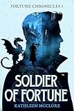jeux soldier of fortune gratuit  Soldier of Fortune: Fortune Chronicles 1 (English Edition)